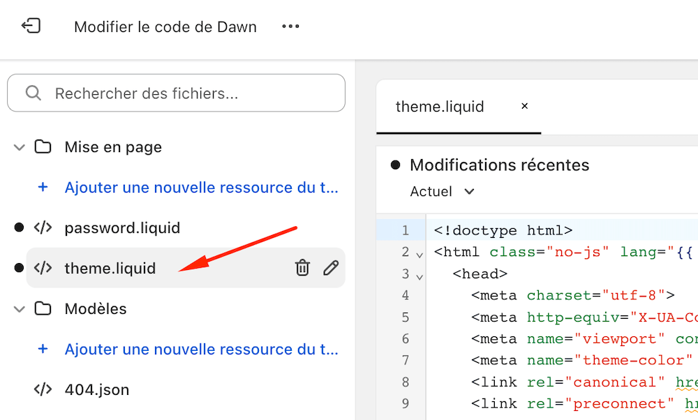 Shopify theme.liquid